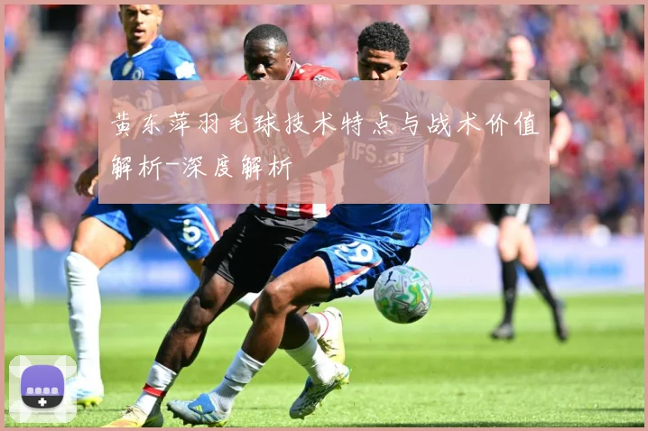 黄东萍羽毛球技术特点与战术价值解析-深度解析